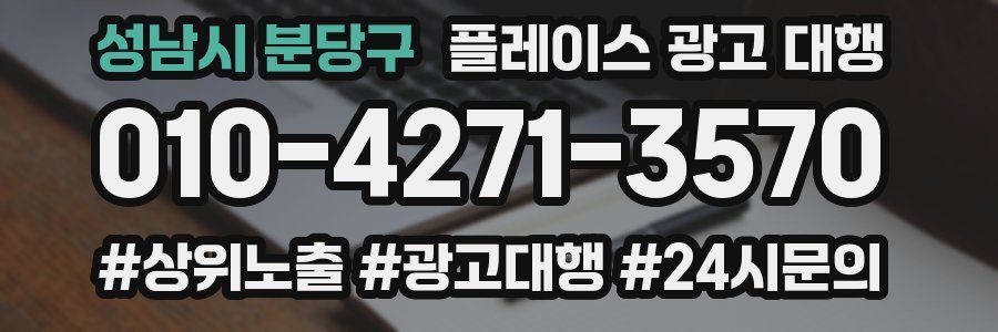 성남시 분당구 플레이스 광고 대행
