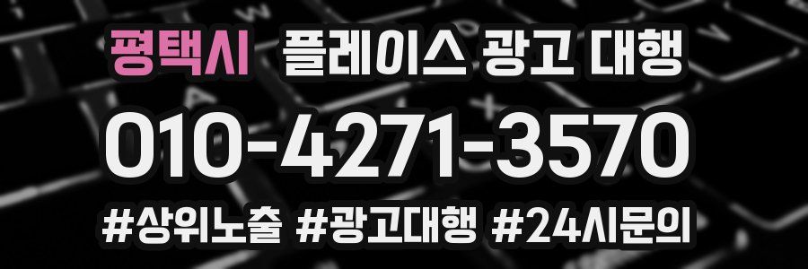평택시 플레이스 광고 대행