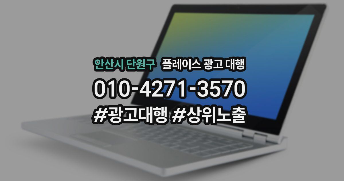 안산시 단원구 플레이스 광고 대행