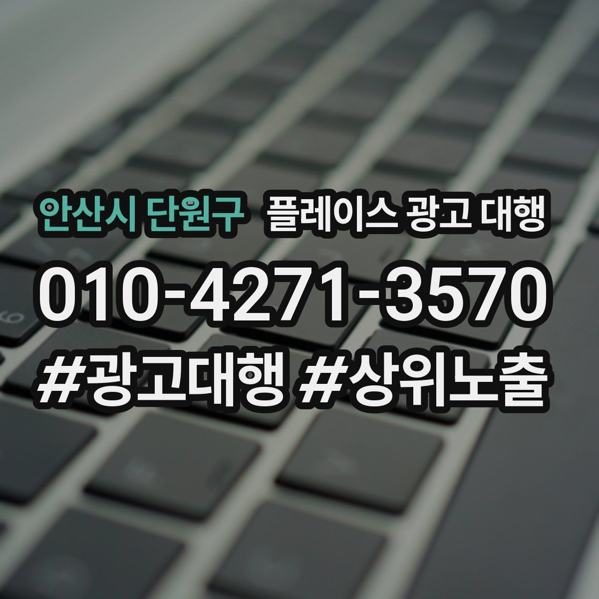 안산시 단원구 플레이스 광고 대행