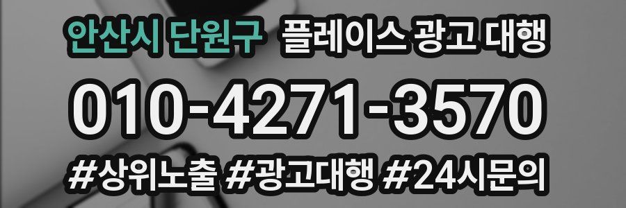 안산시 단원구 플레이스 광고 대행