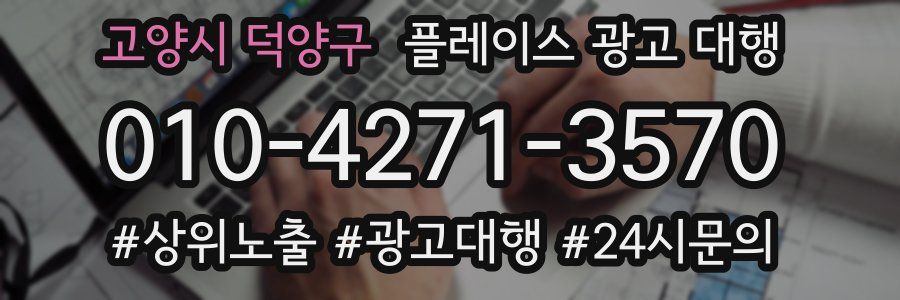 고양시 덕양구 플레이스 광고 대행