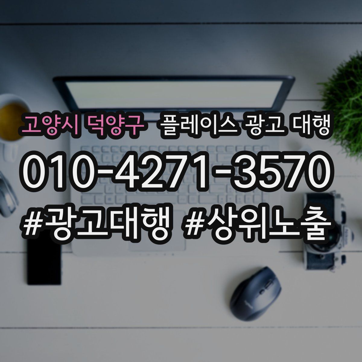 고양시 덕양구 플레이스 광고 대행