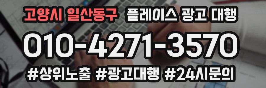 고양시 일산동구 플레이스 광고 대행