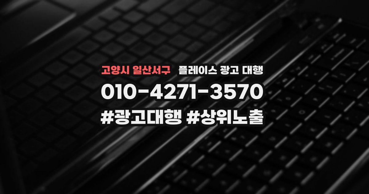 고양시 일산서구 플레이스 광고 대행