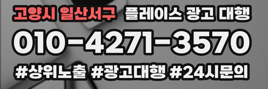 고양시 일산서구 플레이스 광고 대행