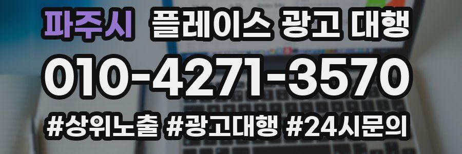 파주시 플레이스 광고 대행