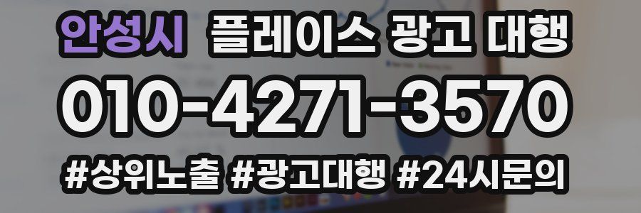 안성시 플레이스 광고 대행