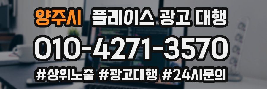 양주시 플레이스 광고 대행