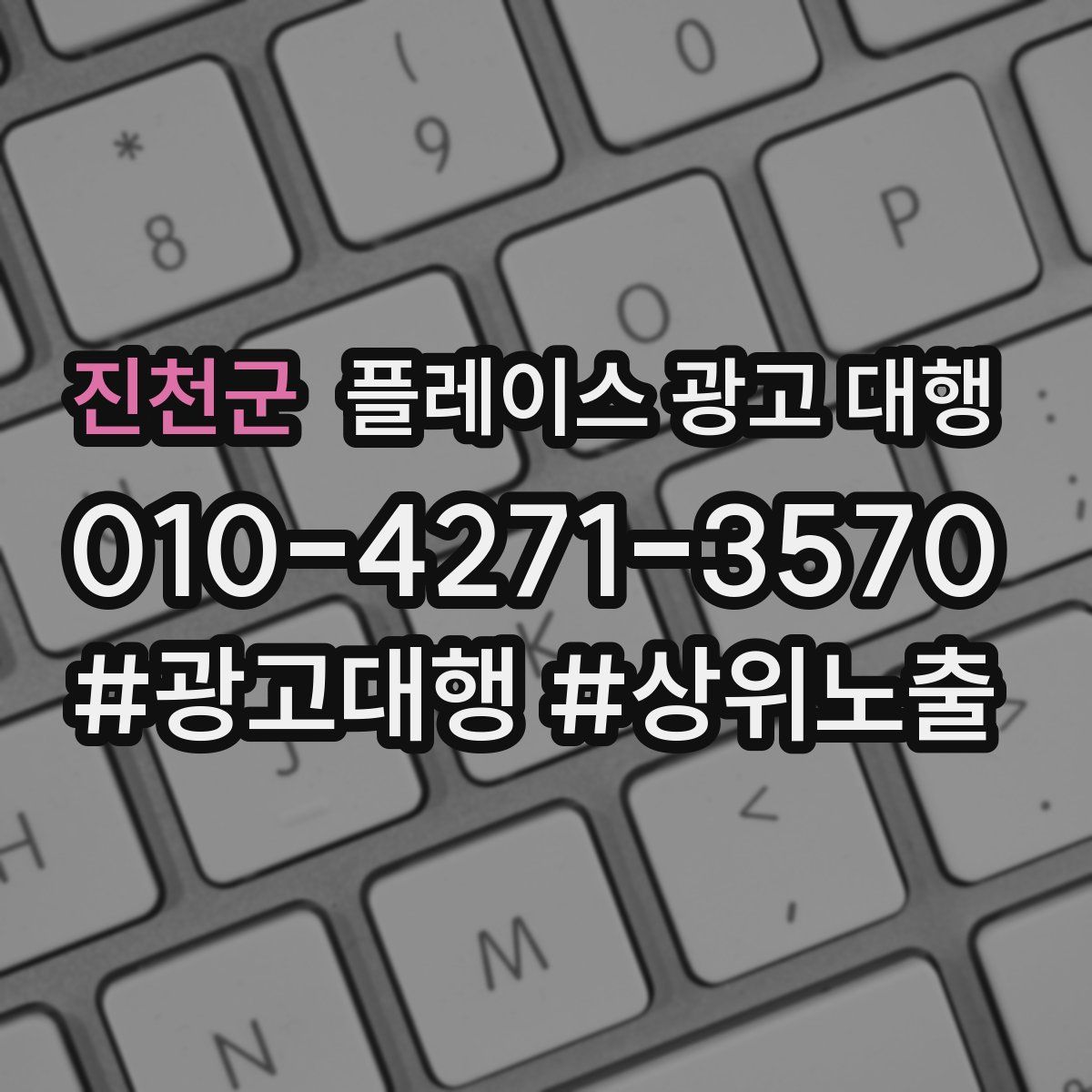 진천군 플레이스 광고 대행