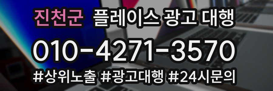 진천군 플레이스 광고 대행