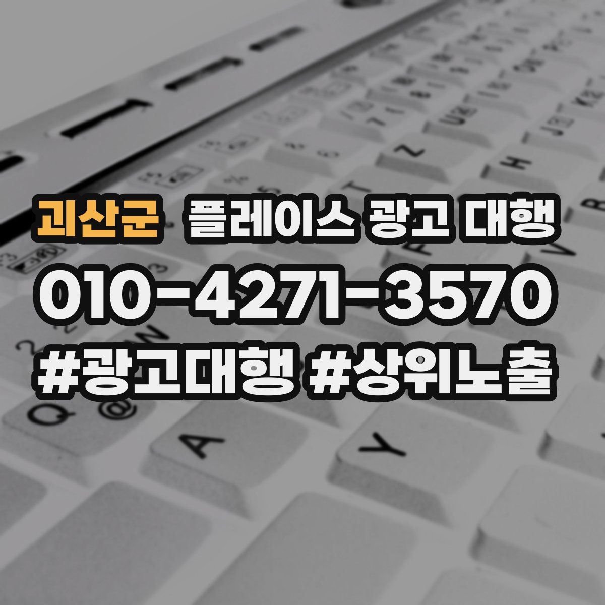 괴산군 플레이스 광고 대행