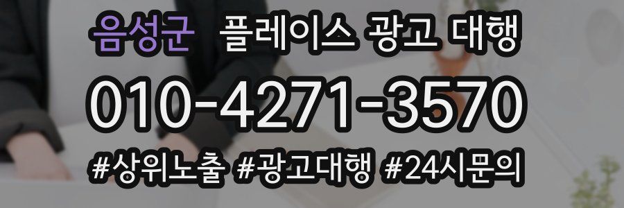 음성군 플레이스 광고 대행