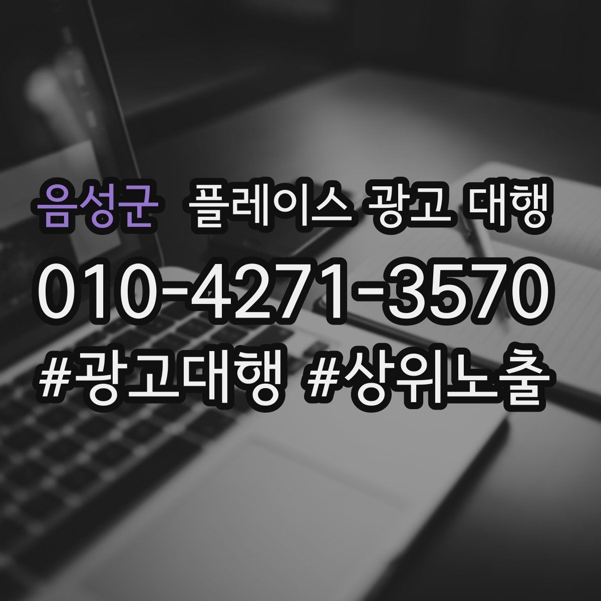 음성군 플레이스 광고 대행