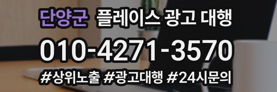 단양군 플레이스 광고 대행