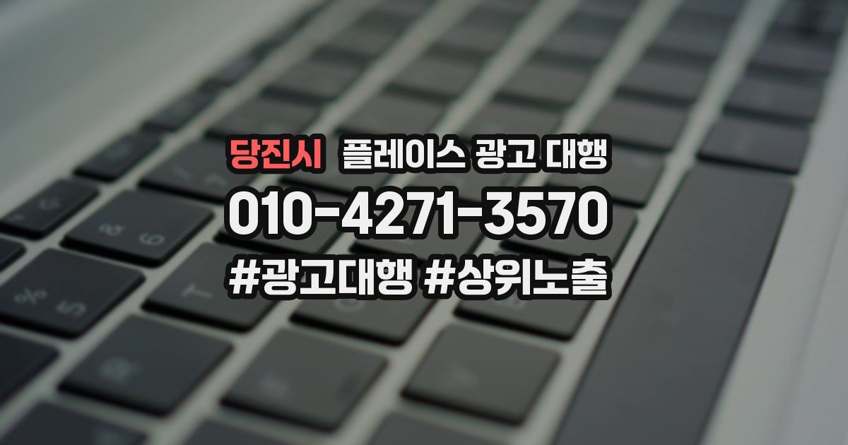 당진시 플레이스 광고 대행