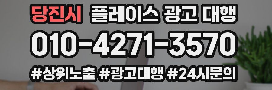 당진시 플레이스 광고 대행