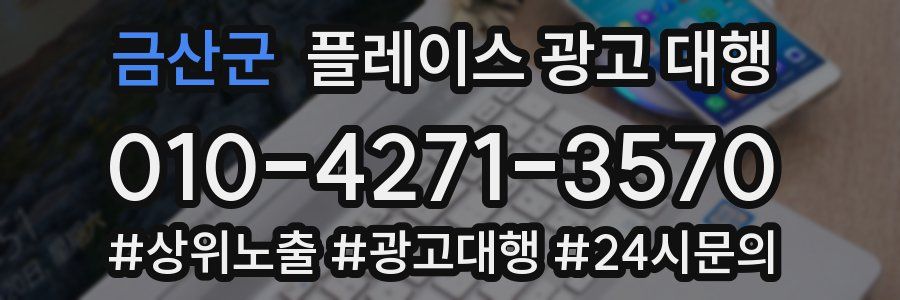 금산군 플레이스 광고 대행