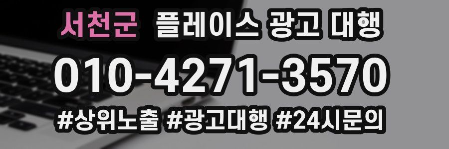 서천군 플레이스 광고 대행
