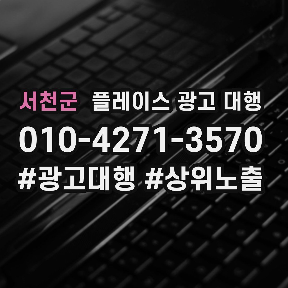 서천군 플레이스 광고 대행