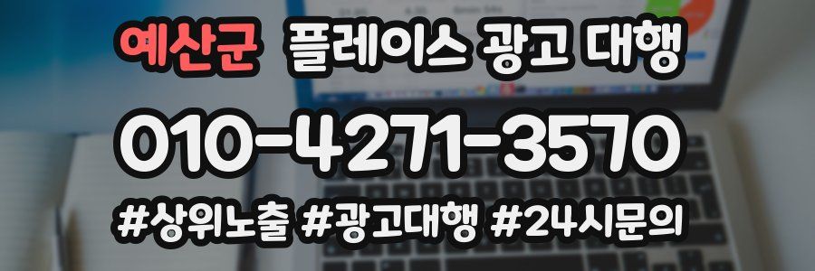 예산군 플레이스 광고 대행