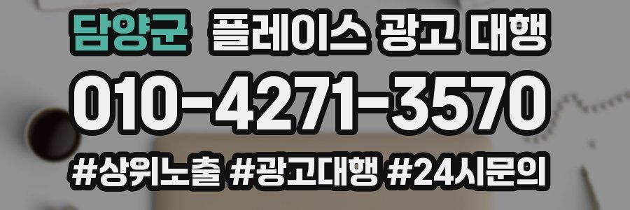 담양군 플레이스 광고 대행