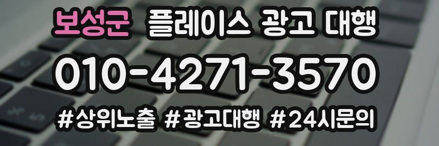 보성군 플레이스 광고 대행