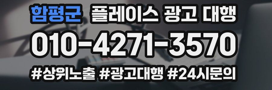 함평군 플레이스 광고 대행