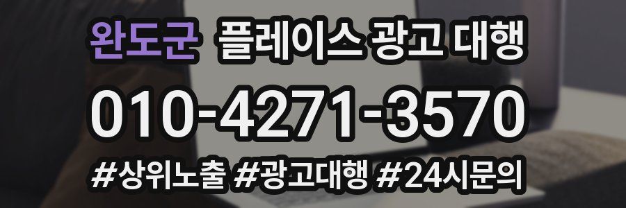 완도군 플레이스 광고 대행
