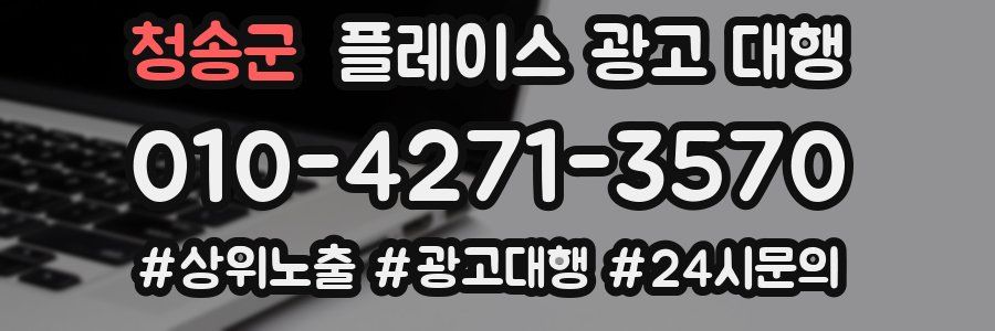 청송군 플레이스 광고 대행