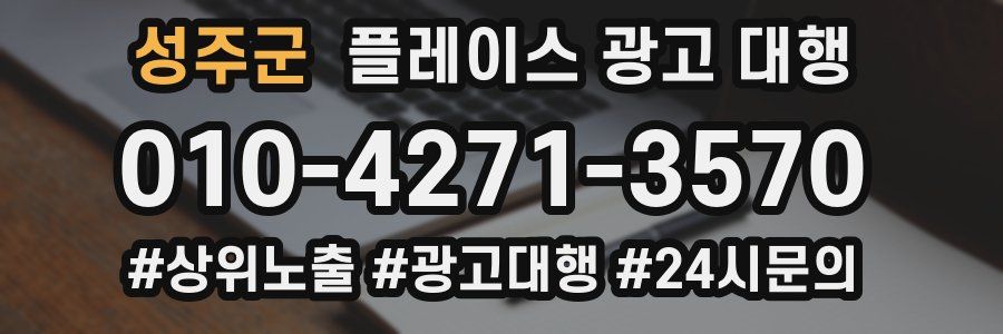 성주군 플레이스 광고 대행