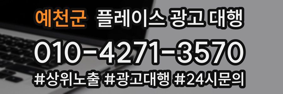 예천군 플레이스 광고 대행