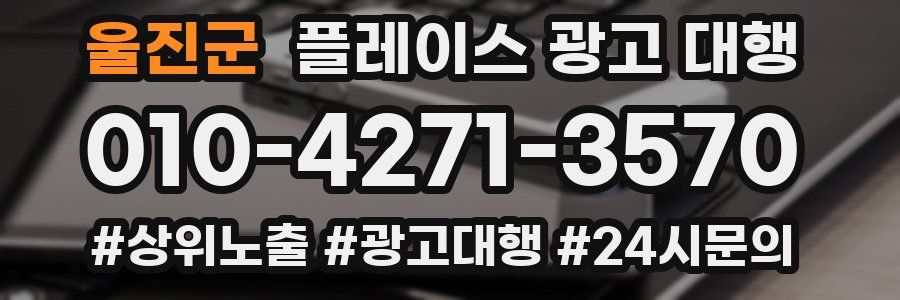 울진군 플레이스 광고 대행