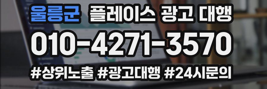 울릉군 플레이스 광고 대행