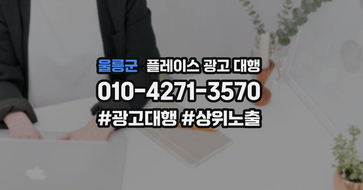 울릉군 플레이스 광고 대행