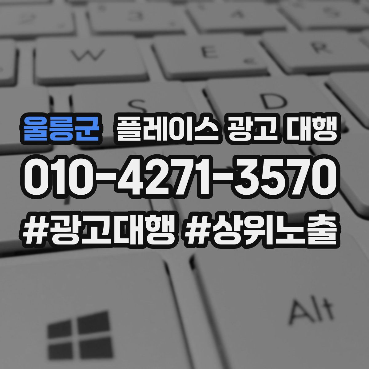 울릉군 플레이스 광고 대행