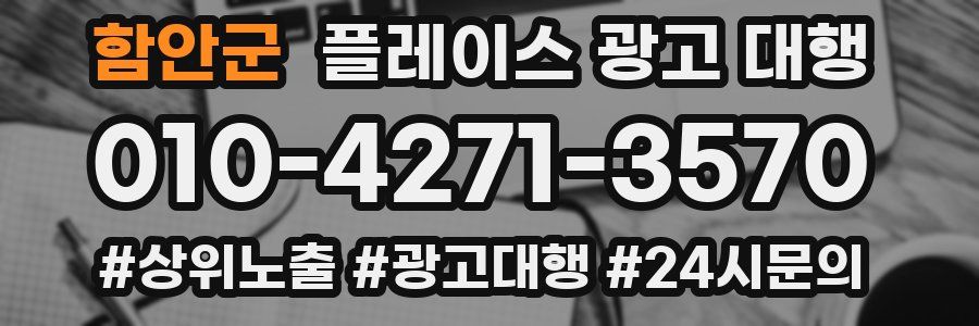 함안군 플레이스 광고 대행