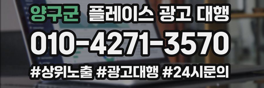 양구군 플레이스 광고 대행