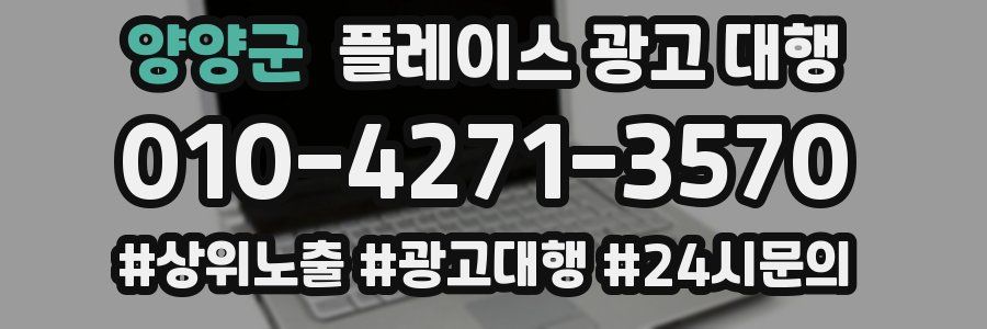 양양군 플레이스 광고 대행