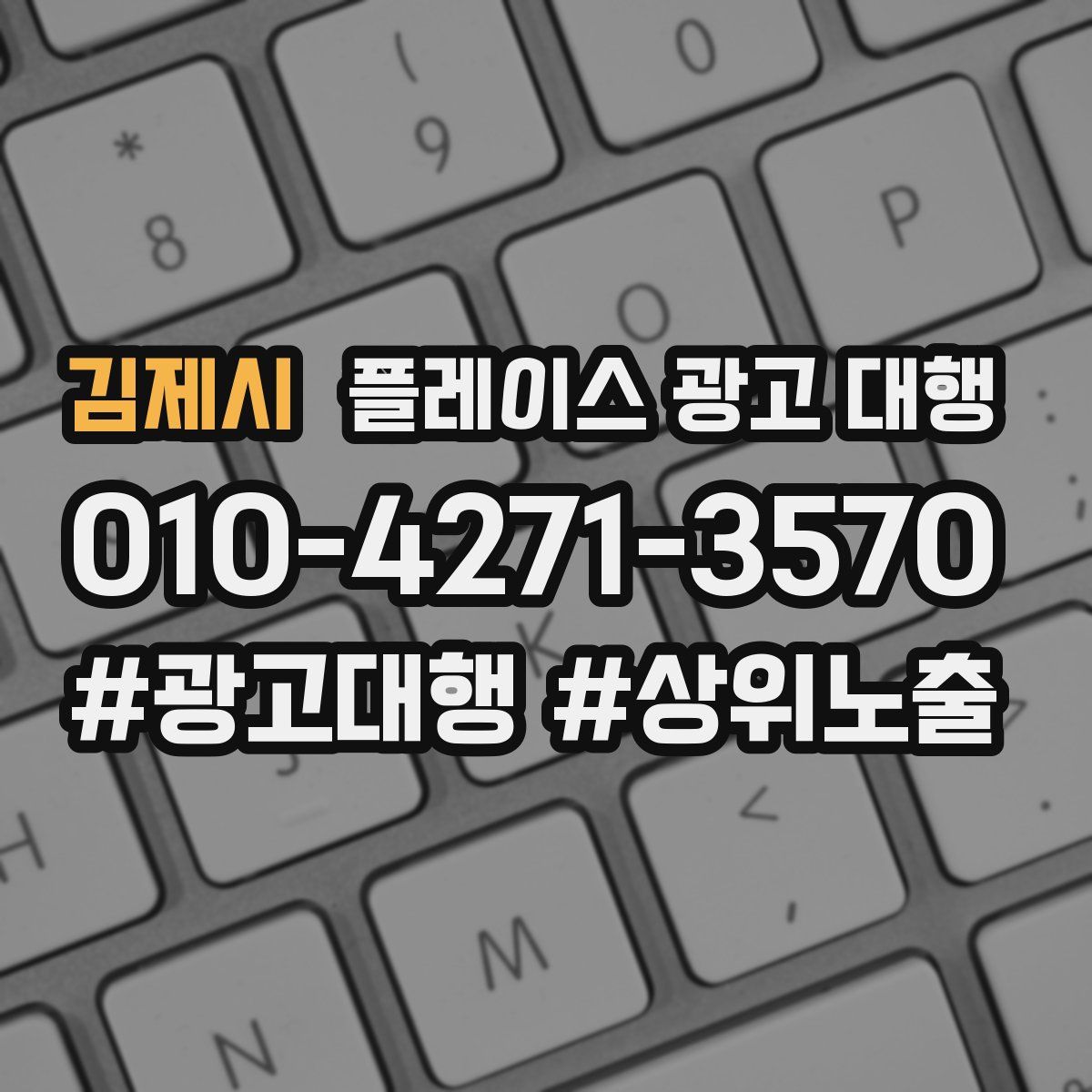 김제시 플레이스 광고 대행