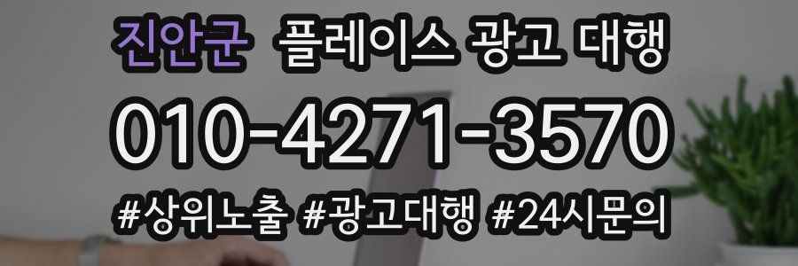 진안군 플레이스 광고 대행