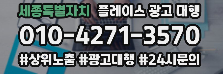 세종특별자치 플레이스 광고 대행