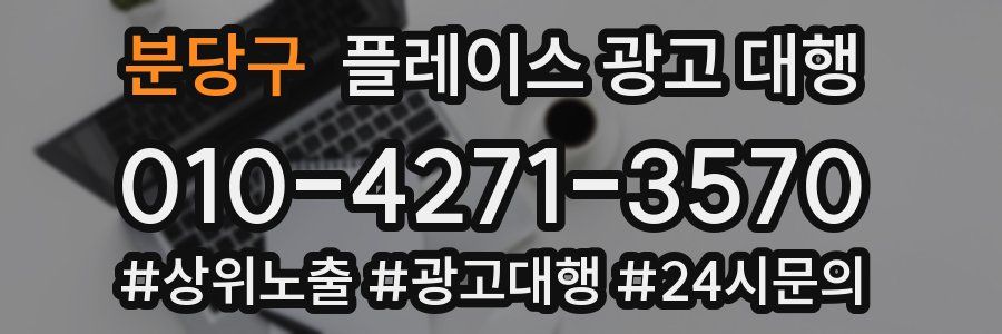 분당구 플레이스 광고 대행