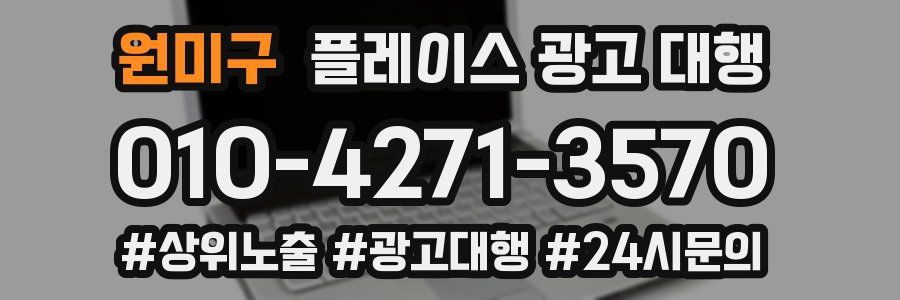 원미구 플레이스 광고 대행