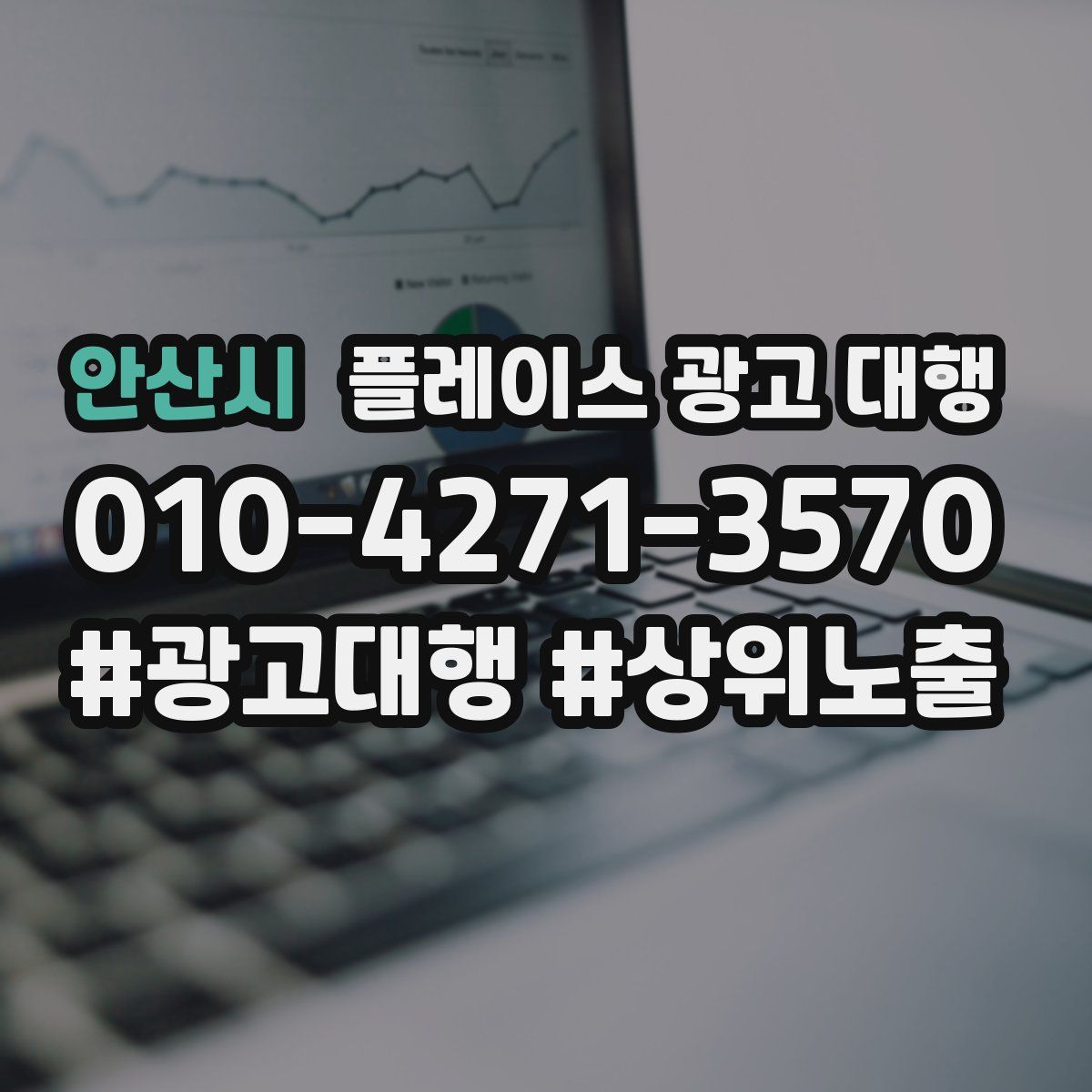 안산시 플레이스 광고 대행