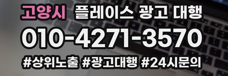 고양시 플레이스 광고 대행