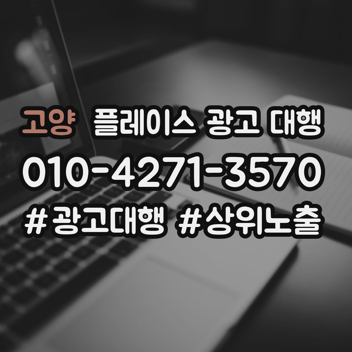 고양 플레이스 광고 대행