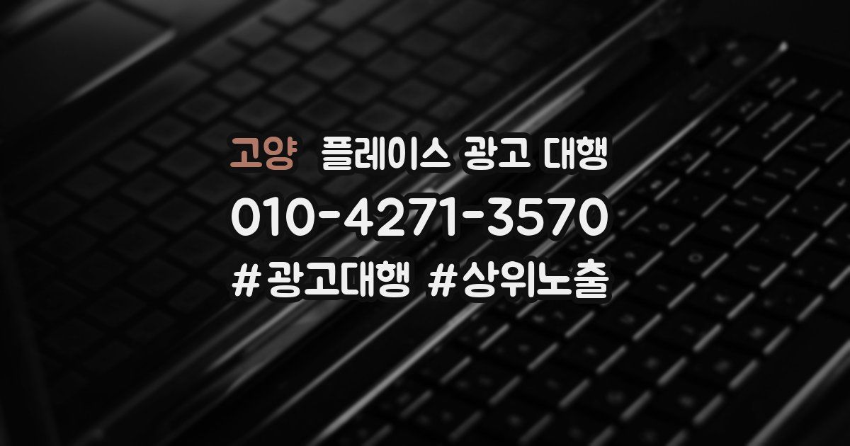 고양 플레이스 광고 대행