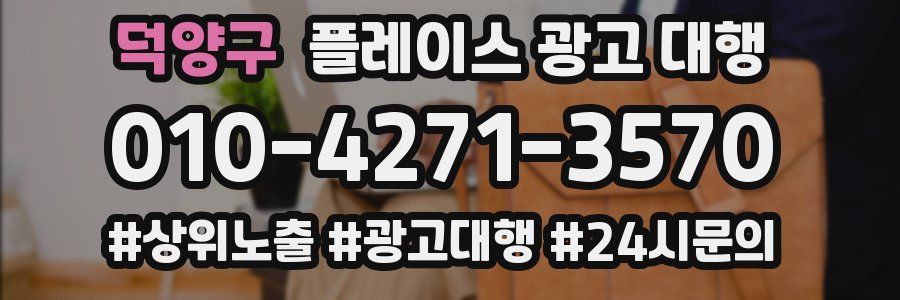 덕양구 플레이스 광고 대행