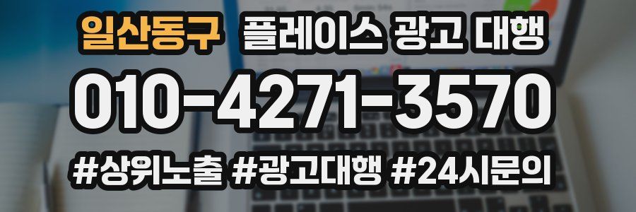 일산동구 플레이스 광고 대행